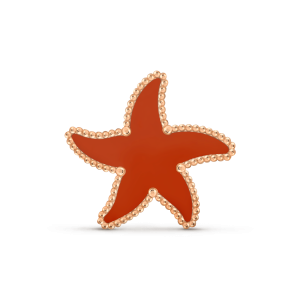 Lucky Summer Starfish clip