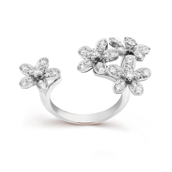 Socrate Between the Finger ring - Image 2